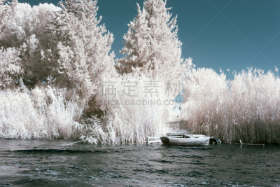 红外摄影,地形,复古风格,草,古董,古典式,摩尔人风格,植物,光谱色,停泊的