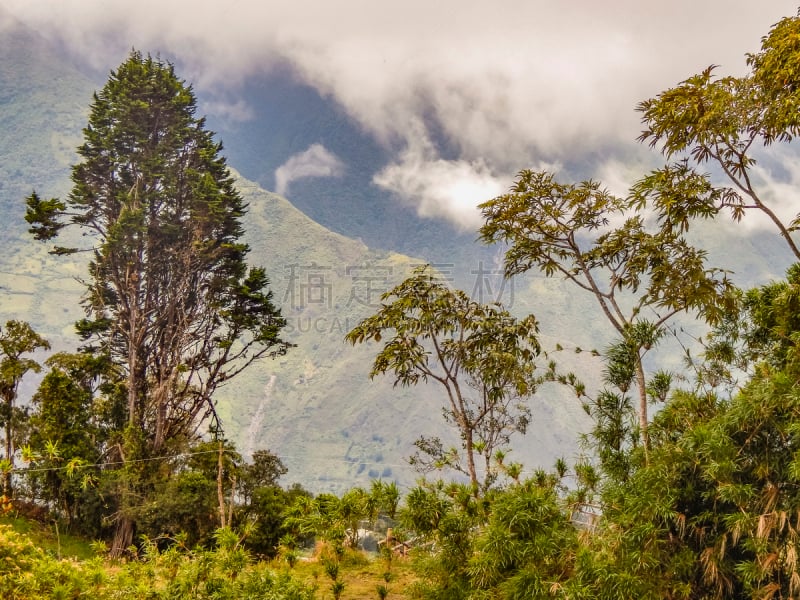 鲍诺什,厄瓜多尔,地形,通古拉瓦火山,玻利维亚安迪斯山脉,自然,安地斯山脉,非都市风光,水平画幅,枝繁叶茂