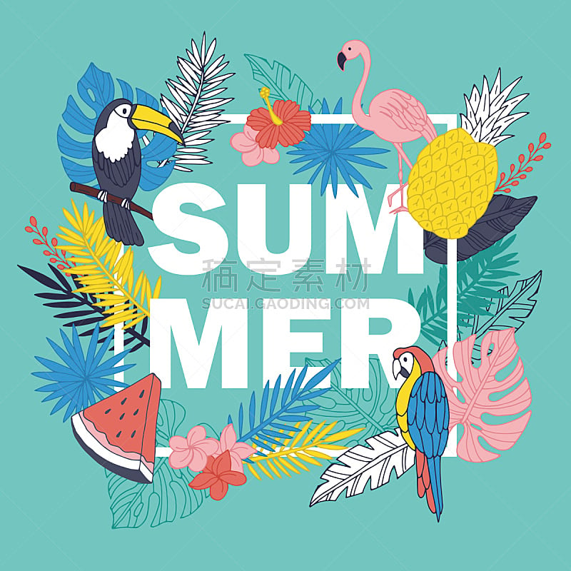 绘画插图,夏天,矢量,背景,鸡尾酒,四元素,热带植物图案,巨嘴鸟,鹦鹉