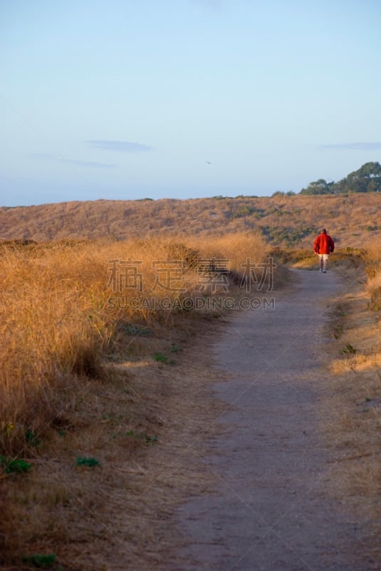 小路,红色,男人,露面闲谈,实地考察旅行,轮胎印,垂直画幅,芳香的,主干路,印地安娜