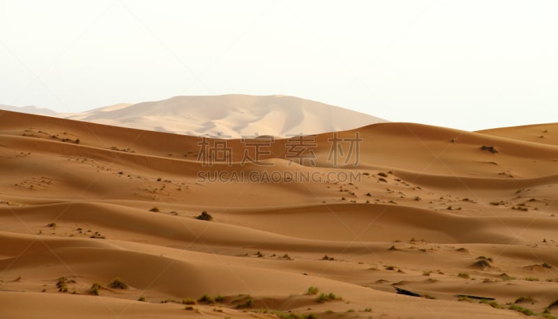 沙丘,撒哈拉沙漠,褐色,气候,水平画幅,山,沙子,莫鲁加,无人,北非