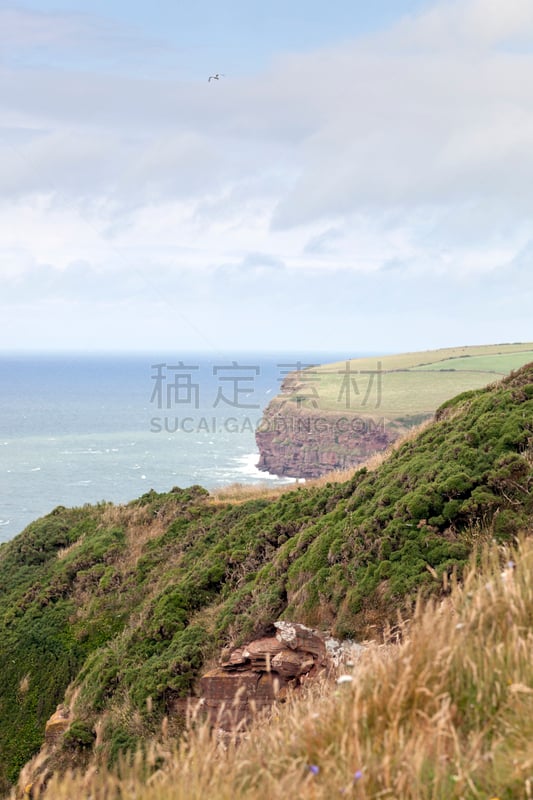 海湾,垂直画幅,水,风,山,无人,鸟类,英格兰,海岸地形,户外