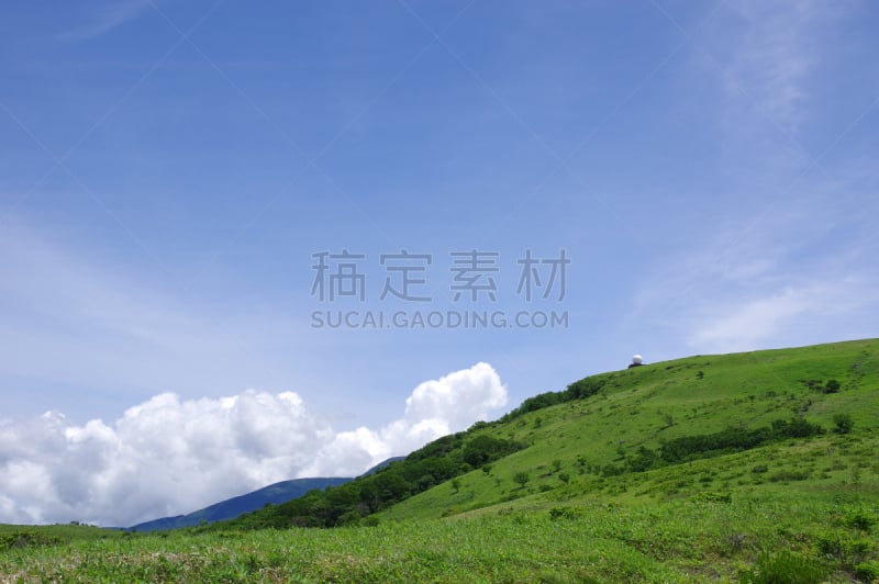 雾峰高原,看风景,度假胜地,水平画幅,枝繁叶茂,长野县,千野,无人,夏天,户外