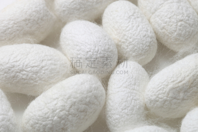 蚕,茧,自然,水平画幅,纺织品,无人,生食,纤维,脆弱,白色