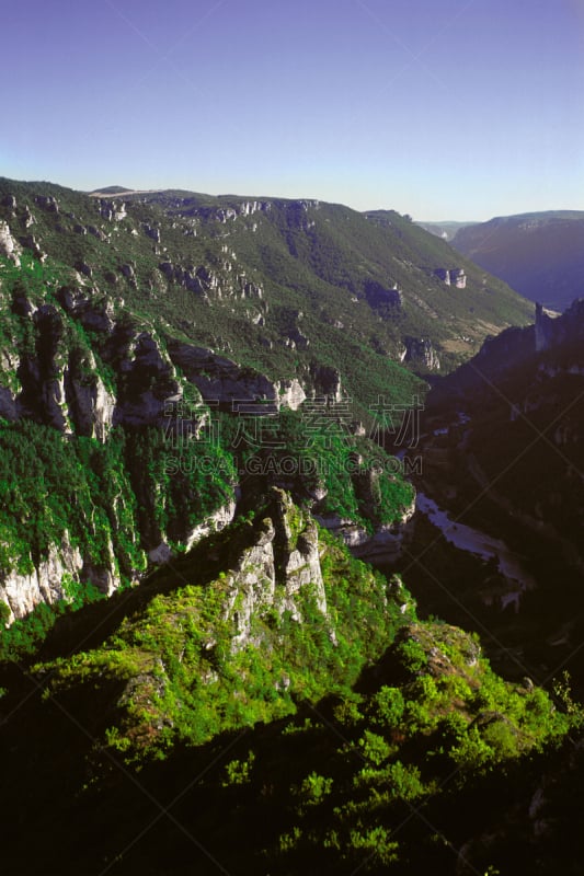 法国,塞文山区,塔河峡谷,垂直画幅,沟壑,罗泽尔,无人,古老的,夏天,户外