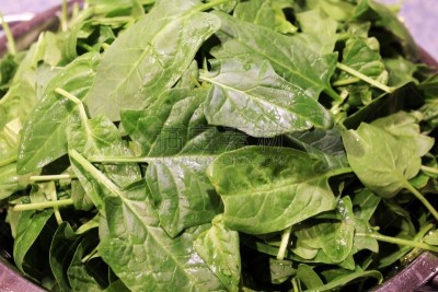 菠菜,清新,叶子,特写,农业,蔬菜,食品,成分,植物,卢武铉