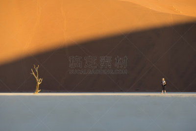 女人,比例,比较,摄影师,纳米比亚国家公园,户外,旅行者,博茨瓦纳,苏丝斯黎,黄色