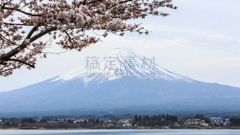 早晨,湖,富士山,河口湖,富士河口湖,花见节,水,天空,美,水平画幅