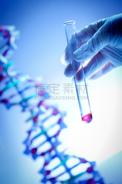 脱氧核糖核酸,医学样本,试管,拿着,文书工作,螺旋模型,dna测试,组装套件,染色体,大规模的放大