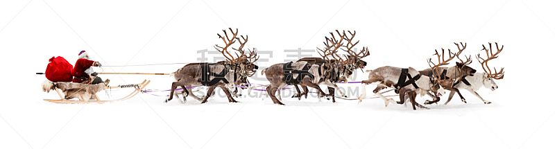 动物雪车,圣诞老人,鹿,雪橇,牛车,车用喇叭,动物挽具,雪,新的,男性
