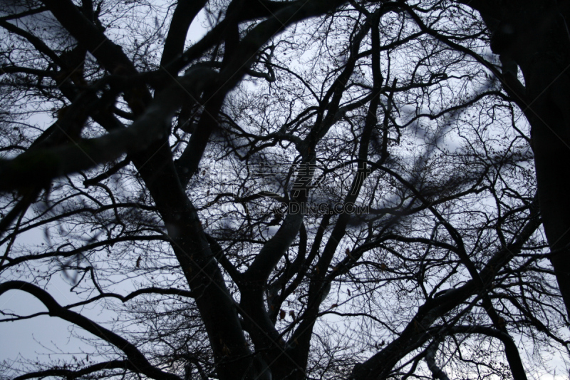 天空,自然,水平画幅,无人,户外,湖,上巴伐利亚,雨,多云,阿默尔湖