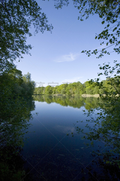 forest of dean,英国,格洛斯特郡,维伊山谷,垂直画幅,美,公园,枝繁叶茂,英格兰,人群