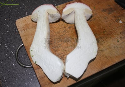 蘑菇,厨房,基粒间片层,菌腮,孢子,自然,住宅房间,水平画幅,生物,树林