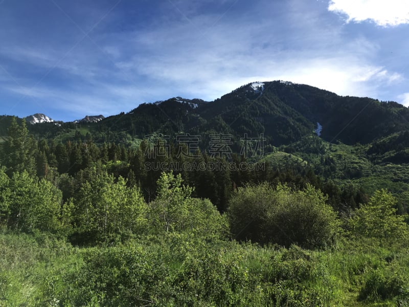 犹他,夏天,山脉,雪鸟滑雪区,峡谷,远距离,水,天空,公园,水平画幅