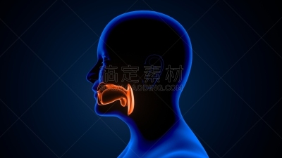 三维图形,问题,健康保健,药,图像,人的嘴,人的头部,喉咙,窦炎