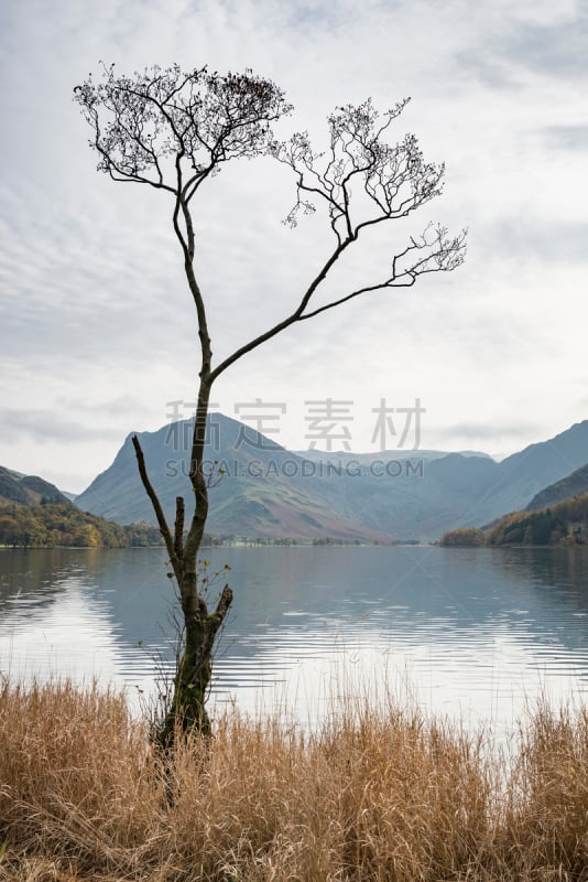 英格兰湖区,英格兰,秋天,水平画幅,巴特米尔湖,大盖博山,沃斯代尔黑德,巴特米尔,坎布里亚,垂直画幅