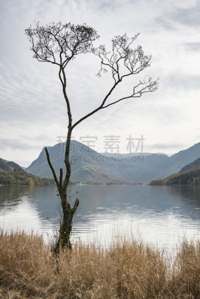 英格兰湖区,英格兰,秋天,水平画幅,巴特米尔湖,大盖博山,沃斯代尔黑德,巴特米尔,坎布里亚,垂直画幅