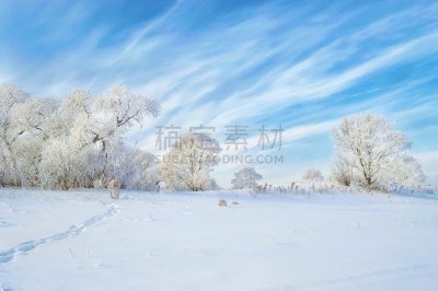 霜,白昼,非凡的,冷,日光,天空,水平画幅,雪,哈巴罗夫斯克,东亚