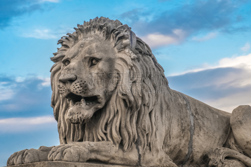 One of the 4 lions flanking the Széchenyi Chain Bridge, a suspension bridge over the Danube between Buda and Pest, the western and eastern sides of Budapest, tHungary.