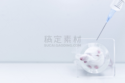 药,鼠,研究人员,医学检测,生物科技,水平画幅,老鼠,科学实验,科学