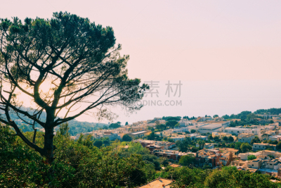 纳布勒斯,卡普里,意大利,岛,都市风景,建筑,房屋,坎帕尼亚,热带气候,浪漫