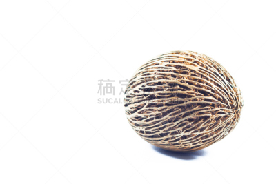 种子,欧洲赤松,白色背景,分离着色,自然,褐色,水平画幅,水果,根部,无人