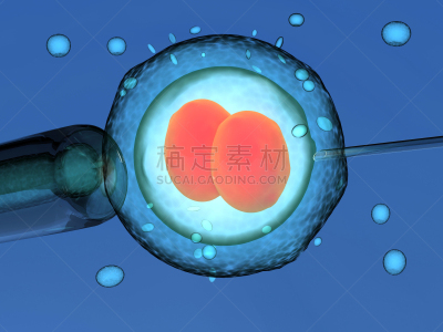 人类兹戈特,人工授精,胚胎,双胞胎,生物科技,水平画幅,科学,健康保健,新生活,人体细胞