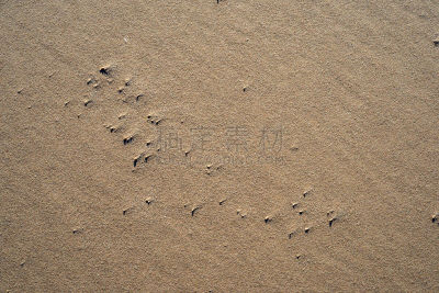 沙子,式样,海滩,纹理效果,拉脱维亚,环境,天气,夏天,户外,天空