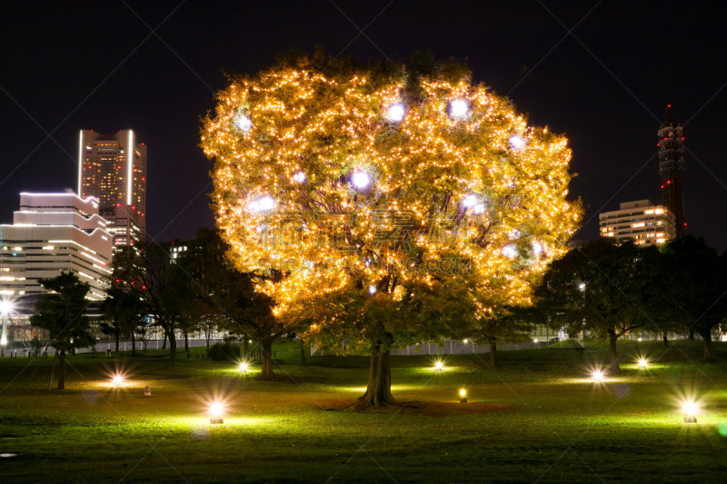 横滨,夜晚,冬天,日本,右外野手,横滨海湾大桥,横滨地标大厦,横滨高速铁路,摩天轮,游乐园