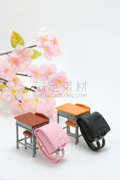 樱花,白色背景,欧洲赤松,垂直画幅,无人,椅子,未成年学生,行李,知识,小雕像