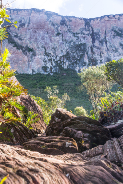 罗赖马山,平顶山,平顶山区,canaima,罗赖马州,委内瑞拉,垂直画幅,南美,无人,户外