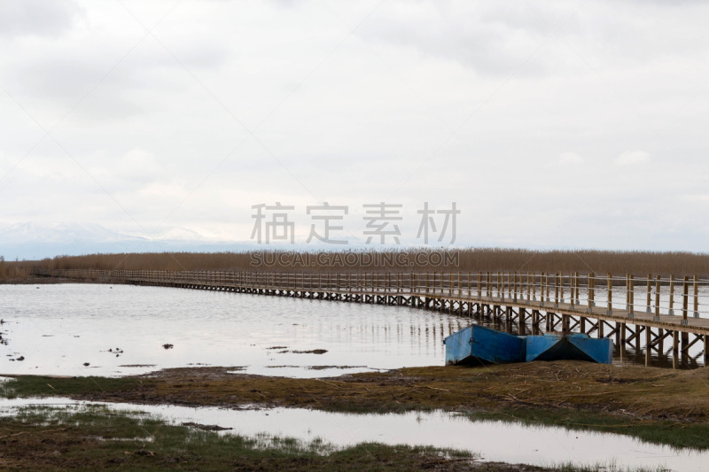 鸟类,苏丹,水平画幅,安纳托利亚,无人,观鸟,户外,湖,卡帕多奇亚,土耳其