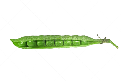 甜碗豆,一模一样,mange-tout,豌豆荚,豌豆,水平画幅,绿色,无人,生食,豆科植物