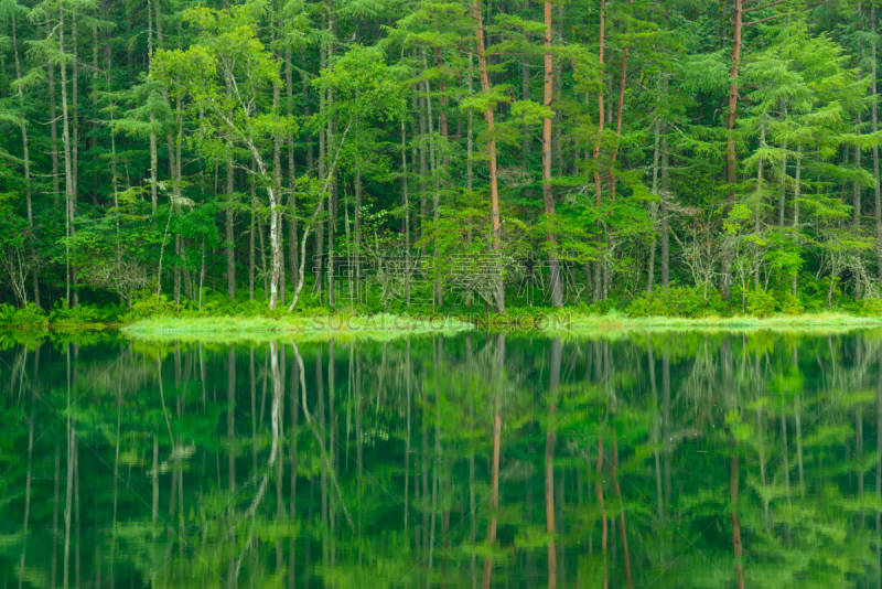 池塘,诹访,千野,长野县,美,里山,水平画幅,旅行者,夏天,水库