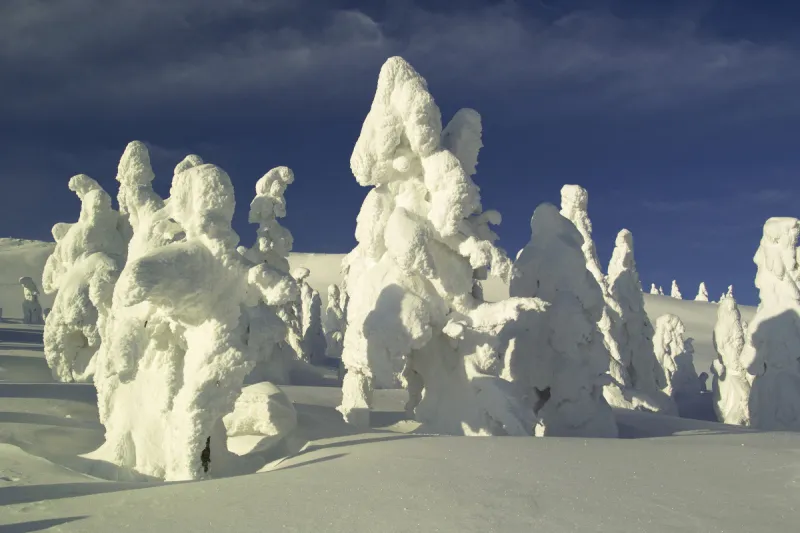 山形县 山形县图片 山形县素材下载 稿定素材