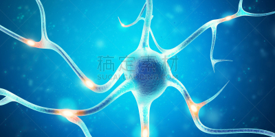 三维图形,脑,神经元,焦点,图像特效,脑部,能源,神经轴突,复杂性,无线电波