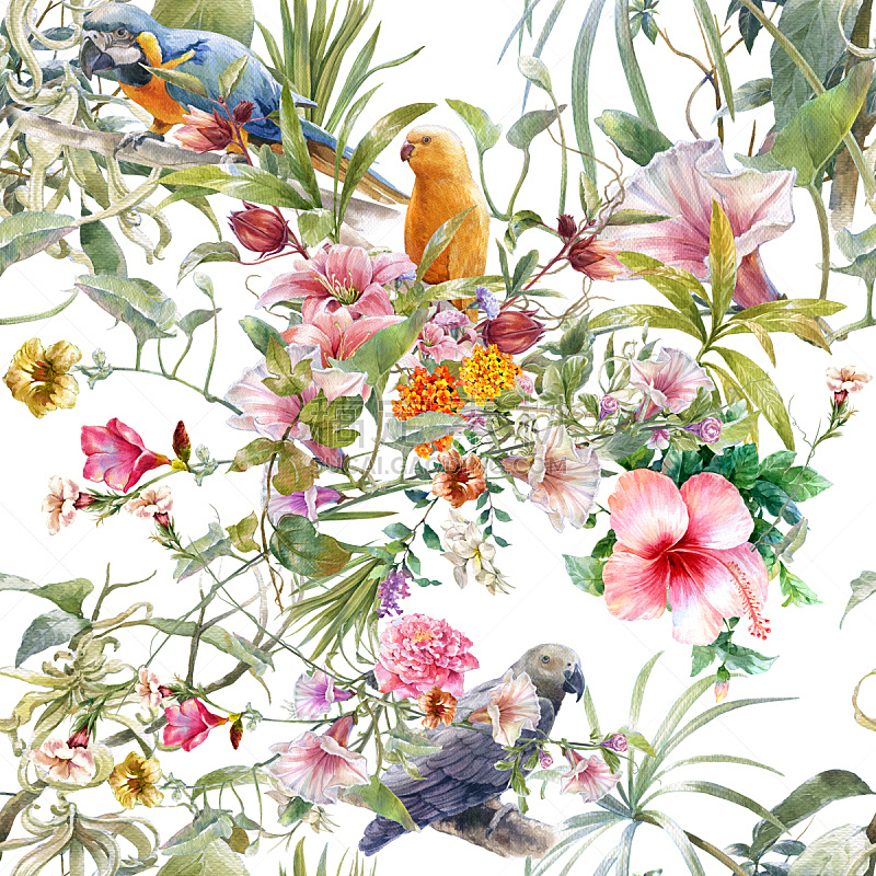 四方连续纹样,水彩画颜料,鸟类,仅一朵花,花纹,热带气候,木槿属,兰花,无人