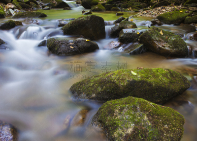 运河,早晨,皮撒国家森林公园,水,北卡罗来纳,褐色,水平画幅,绿色,岩石,无人
