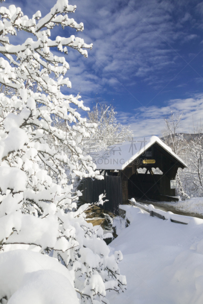 雪,清新,有包装的,垂直画幅,佛蒙特,寒冷,宁静,美国,地形,建筑
