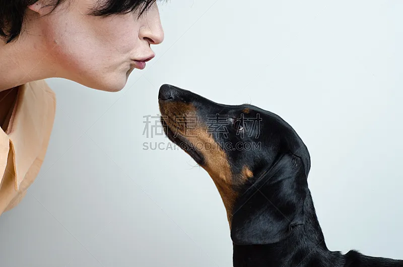 狗 女人 黑色 宠物 腊肠犬 美 业主 动物嘴 水平画幅 美人图片素材下载 稿定素材 狗 女人 黑色 宠物 腊肠犬 美 业主 动物嘴 水平画幅 美人图片素材下载 稿定素材