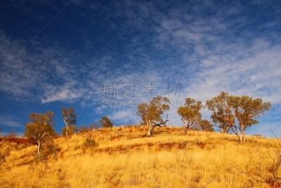 偏远地区,澳大利亚,鬼臼树,三齿稃,the pilbara,半干旱,桉树,东欧大草原,西澳大利亚,天空