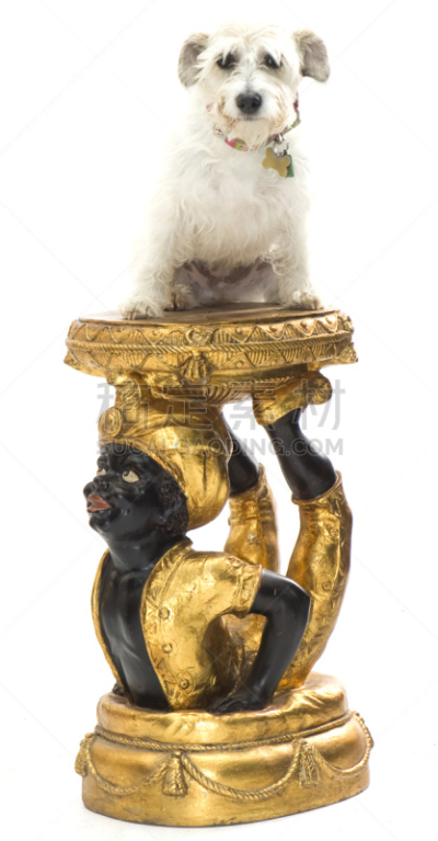 底座,狗,垂直画幅,古董,桌子,动物,悲哀,幽默,金色,影棚拍摄