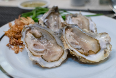 盘子,白色,清新,牡蛎,餐具,自然,煮食,水平画幅,巨大的,海产