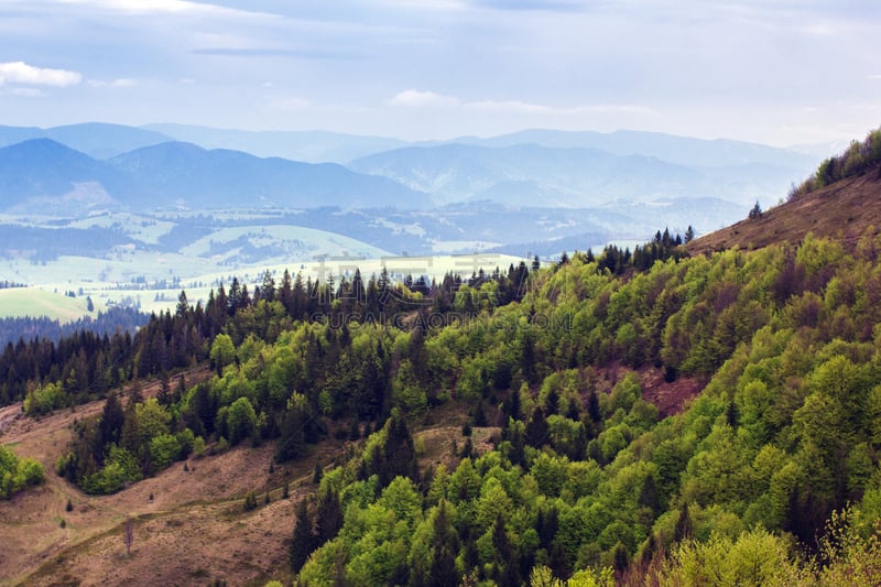 草原,地形,卡帕锡安山脉,山脉,佤族,杉树,天空,水平画幅,山,无人