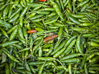 冷,寒冷,水平画幅,绿色,彩色图片,无人,椒类食物,香料,清新,蔬菜