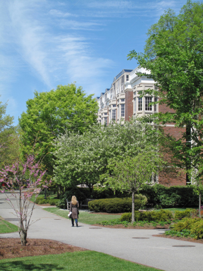 哈佛大学,校园,剑桥,常春藤盟校,学校公寓,波士顿,垂直画幅,户外,工业,学校