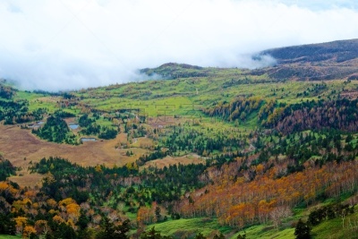 秋天,风景,滋贺县,叶子,长野县,色彩鲜艳,草津山,户外活动,植物,背景