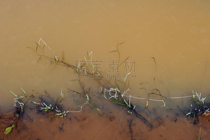 冰,雾凇,摇篮曲,雾淞,新的,水平画幅,雪,无人,水下,湖