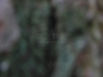 2002,十一月,平衡折角灯,德意志级战列舰,石勒苏益格-荷尔斯泰因,水平画幅,秋天,肖像,波罗的海,植物