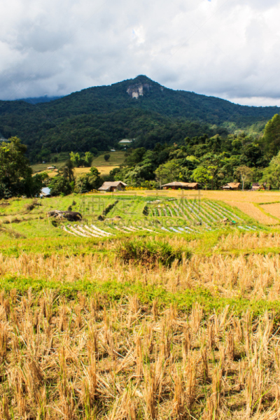 长颈族,乡村,自然,垂直画幅,太空,山,蓝色,全景,泰国
